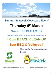 Sumner Beachcleanup_March 6_Poster_pdf